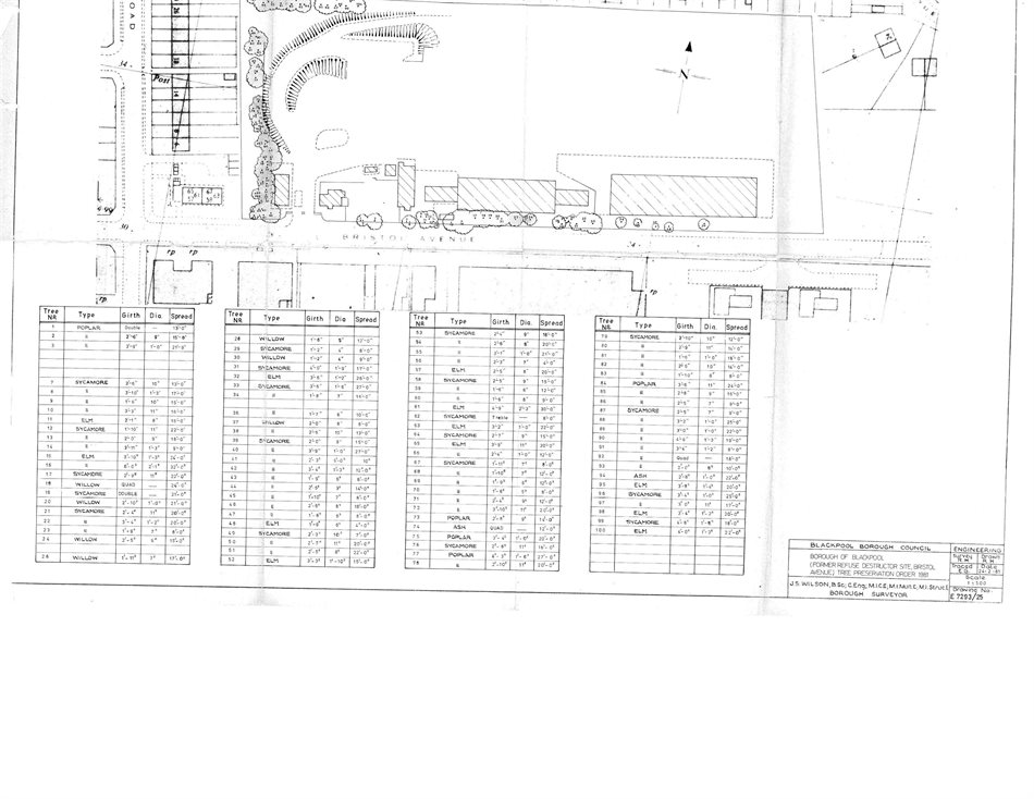 Location Plan showing Trees in TPO18