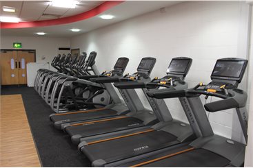 Row of treadmills