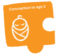 Orange jigsaw piece with a drawing of a swaddled baby in white. Wording conception to age 2 is also shown in white.