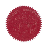 Blackpool Borough Council seal