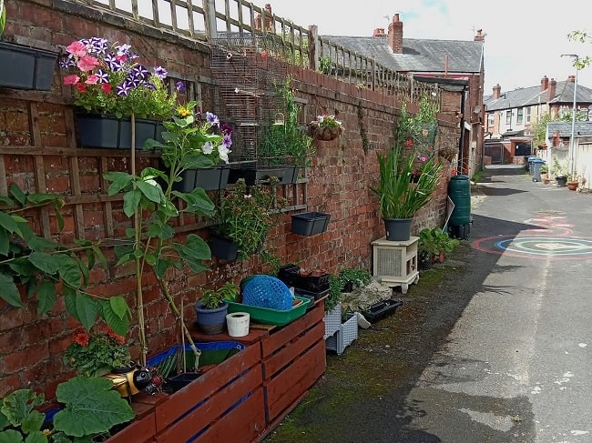 Alleyway with planters and flowers.