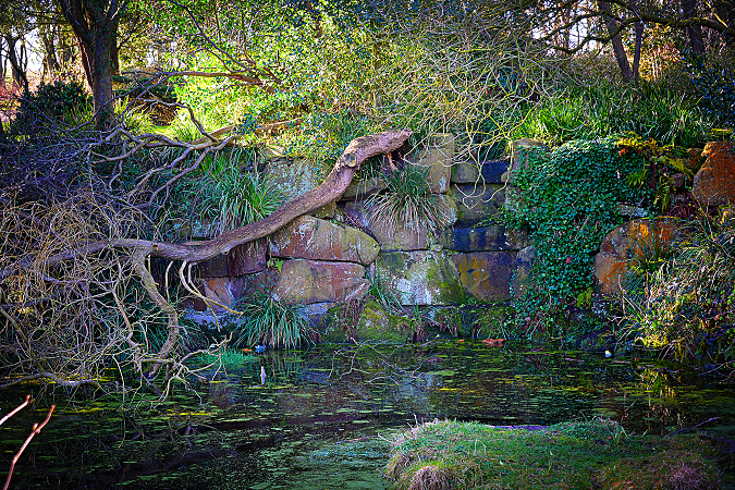 Rock gardens water pool