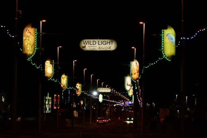 Illuminated features across roadway.