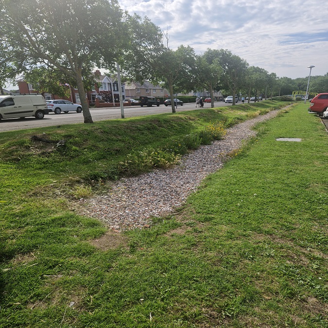 Community Flood Risk - Rain garden installed at The Palatine Library
