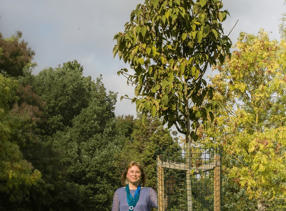 Woman stood by a tree.