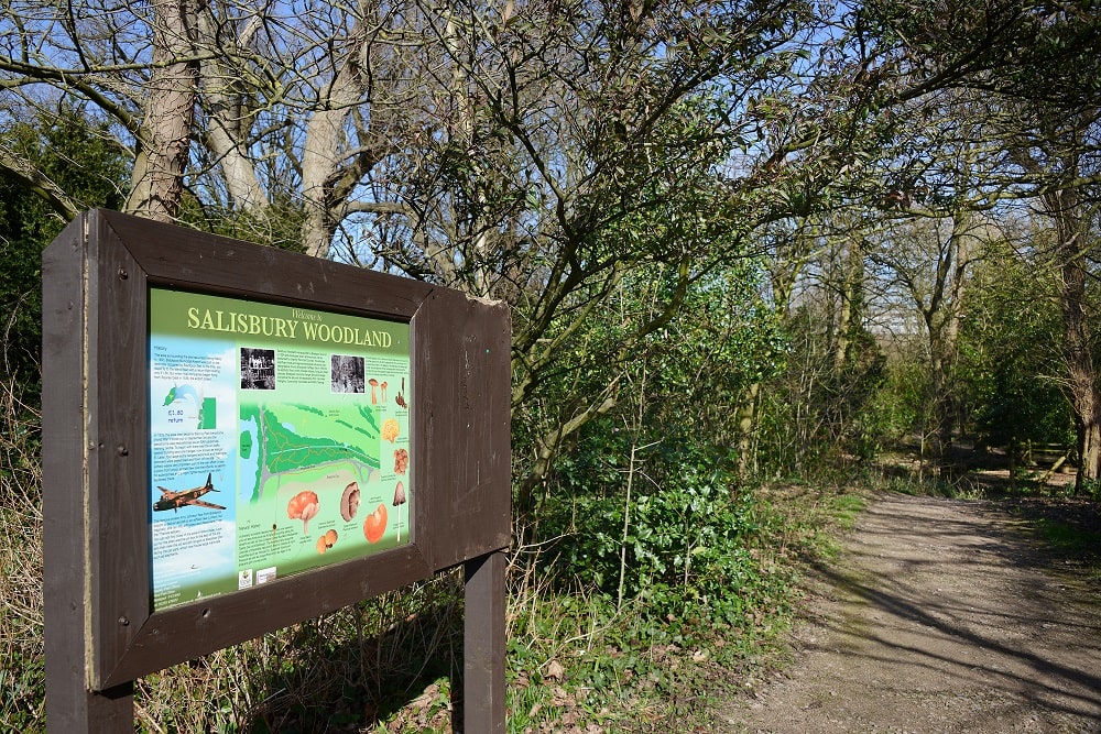 Pathway through woodland with information board.