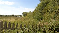View along field boundary abutting historic route of Stockydale Lane.