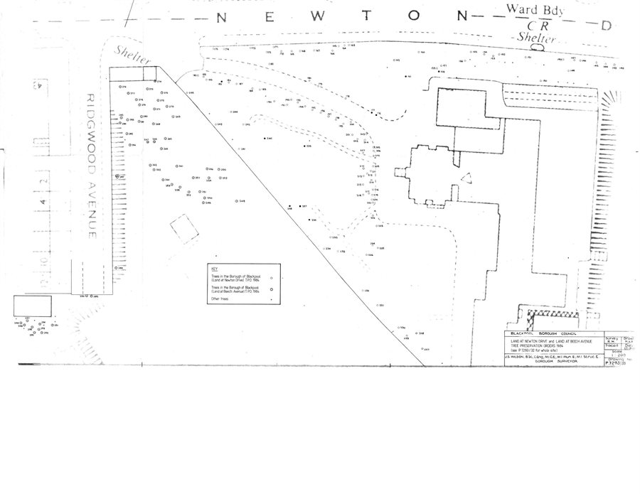 Location Plan Showing Trees in Detail TPO23
