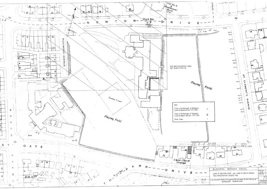 Location Plan Showing Trees in TPO23 LP