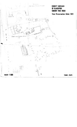 Location plan showing Location of Trees for TPO 3